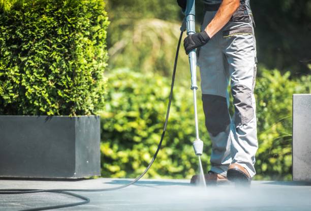 Best Driveway Pressure Washing  in La Vernia, TX
